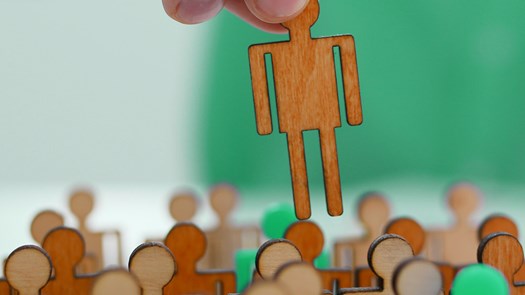 (interim) HR advies