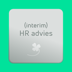Interim HR advies
